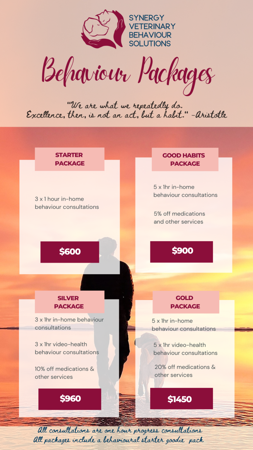 Behaviour Packages Synergy Veterinary Behaviour Solutions